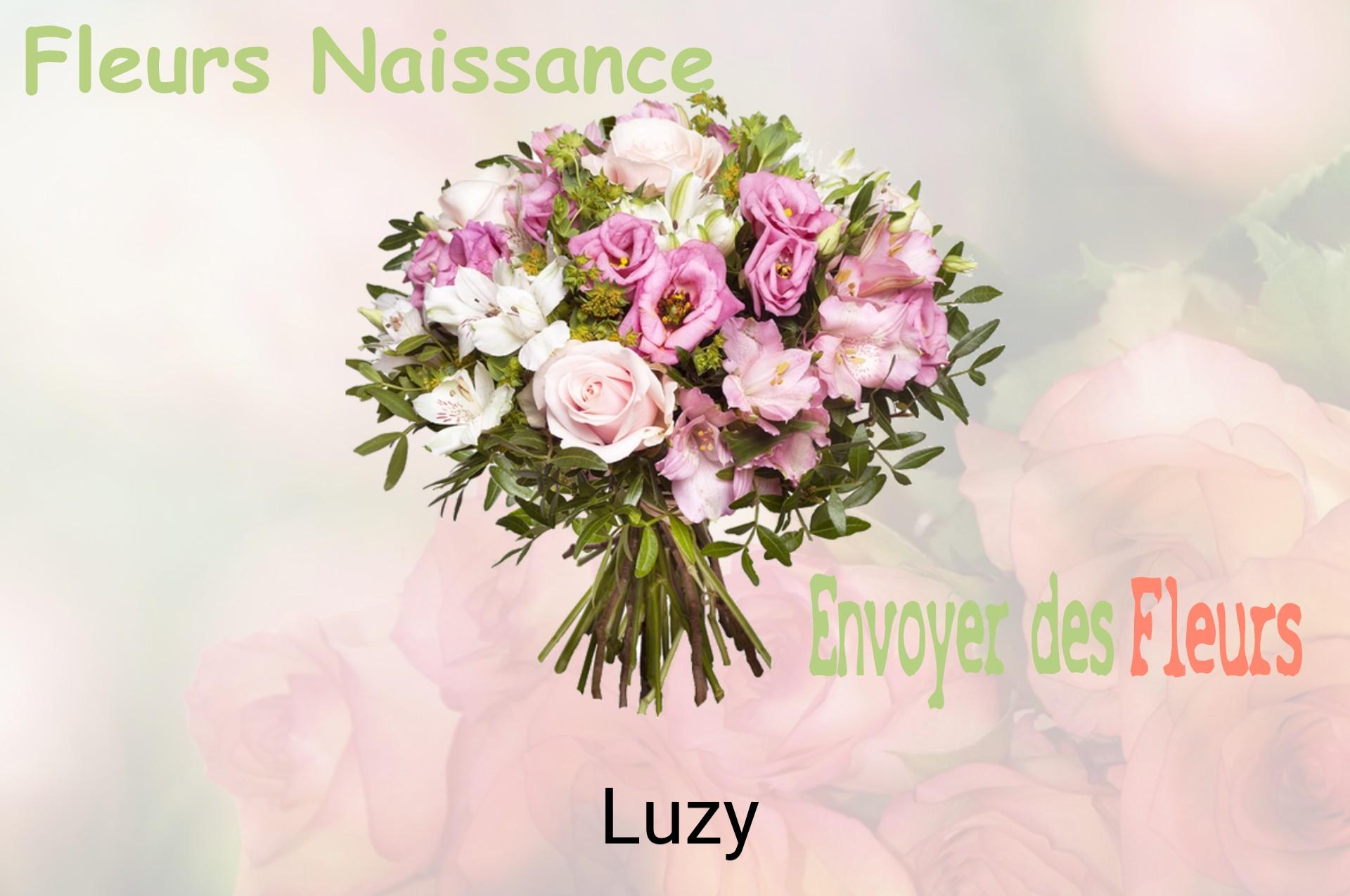 Bouquet de fleurs de naissance livré à Luzy