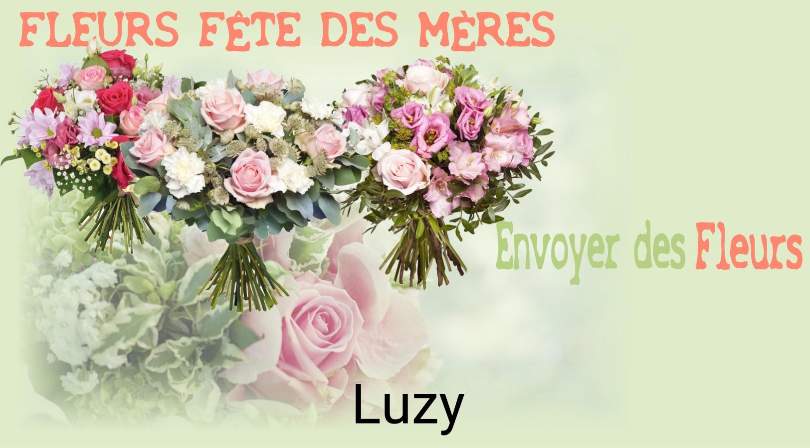 Bouquet de Fête des Mères livré à Luzy